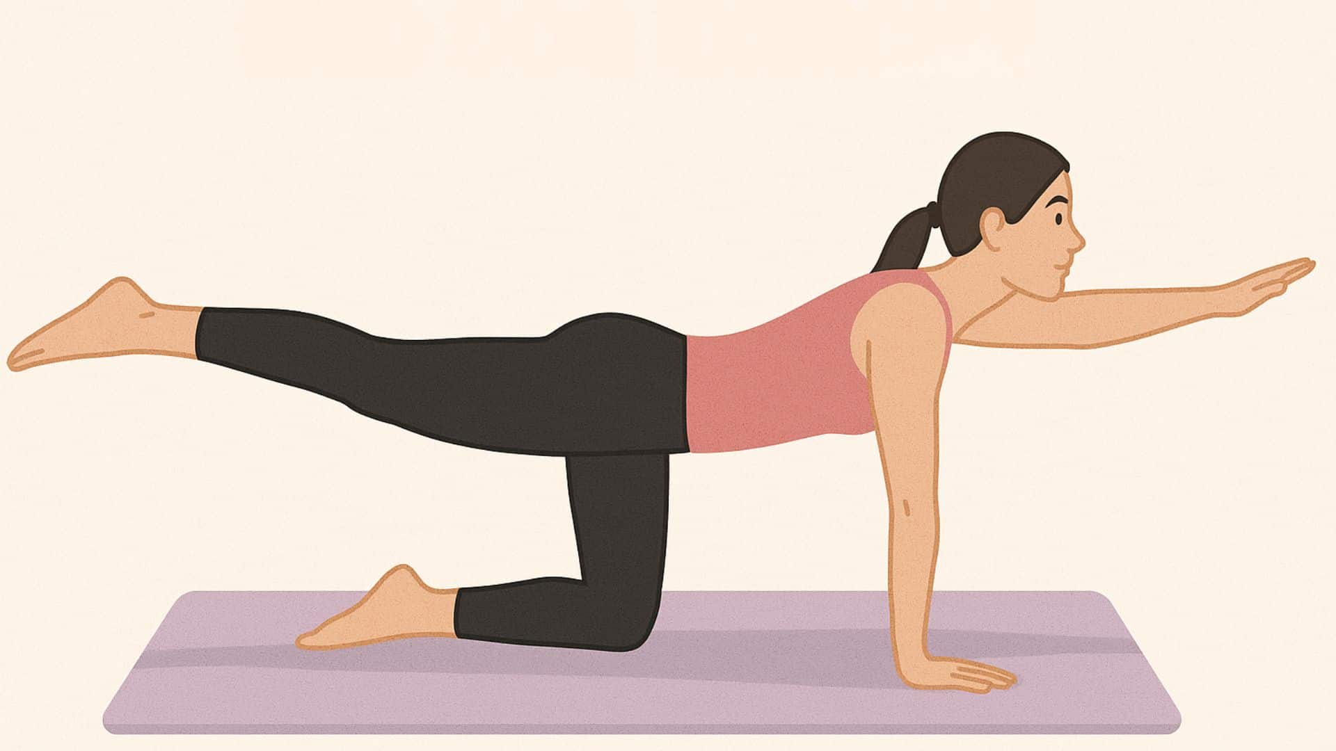 bird-dog-exercise