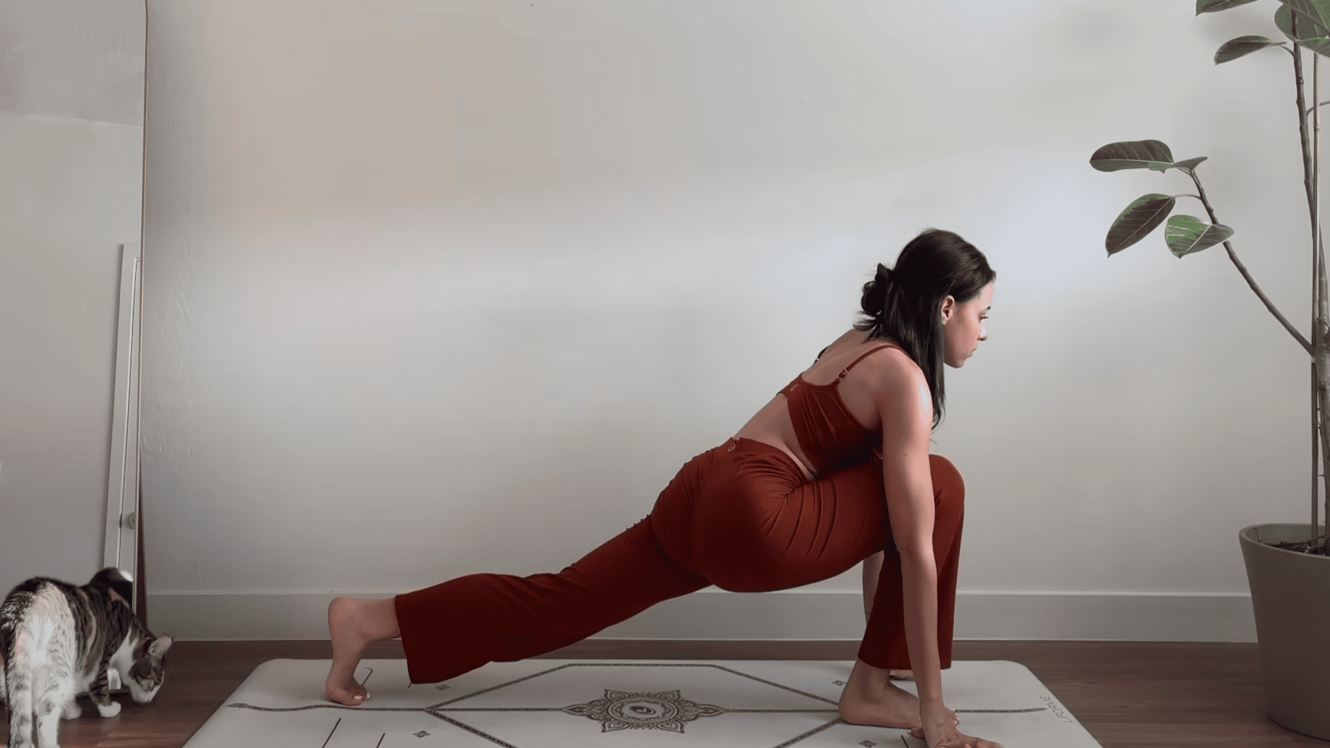Runners Lunge Flow