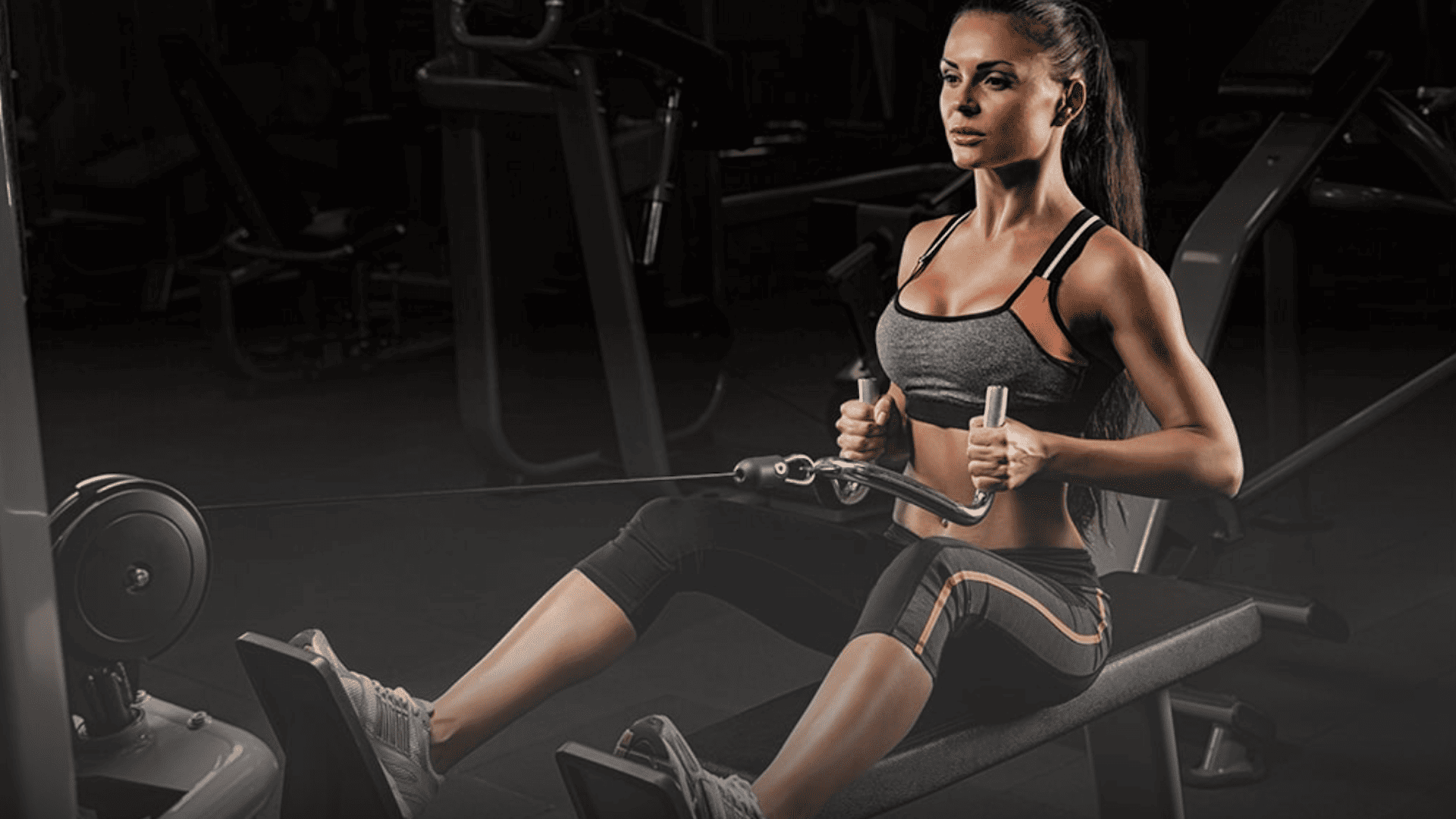 Seated Cable Row