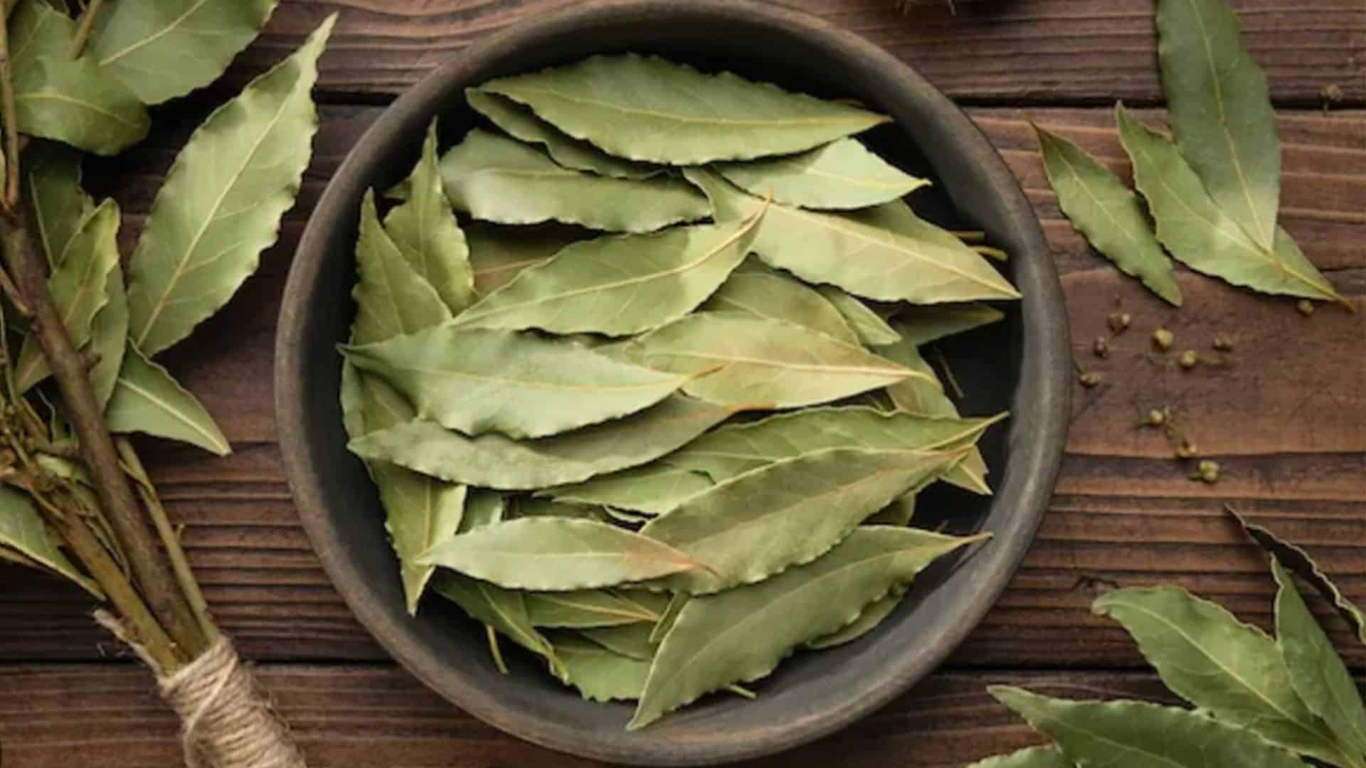 bay-leaf-benefits
