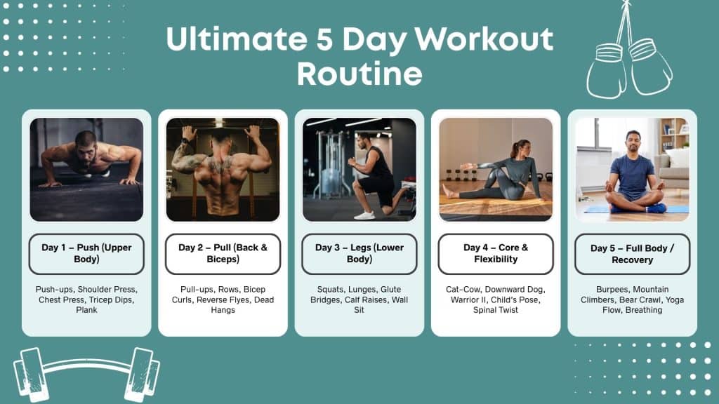 Best 5 Day Workout Routine for Muscle Growth - Lotus Yoga Dallas