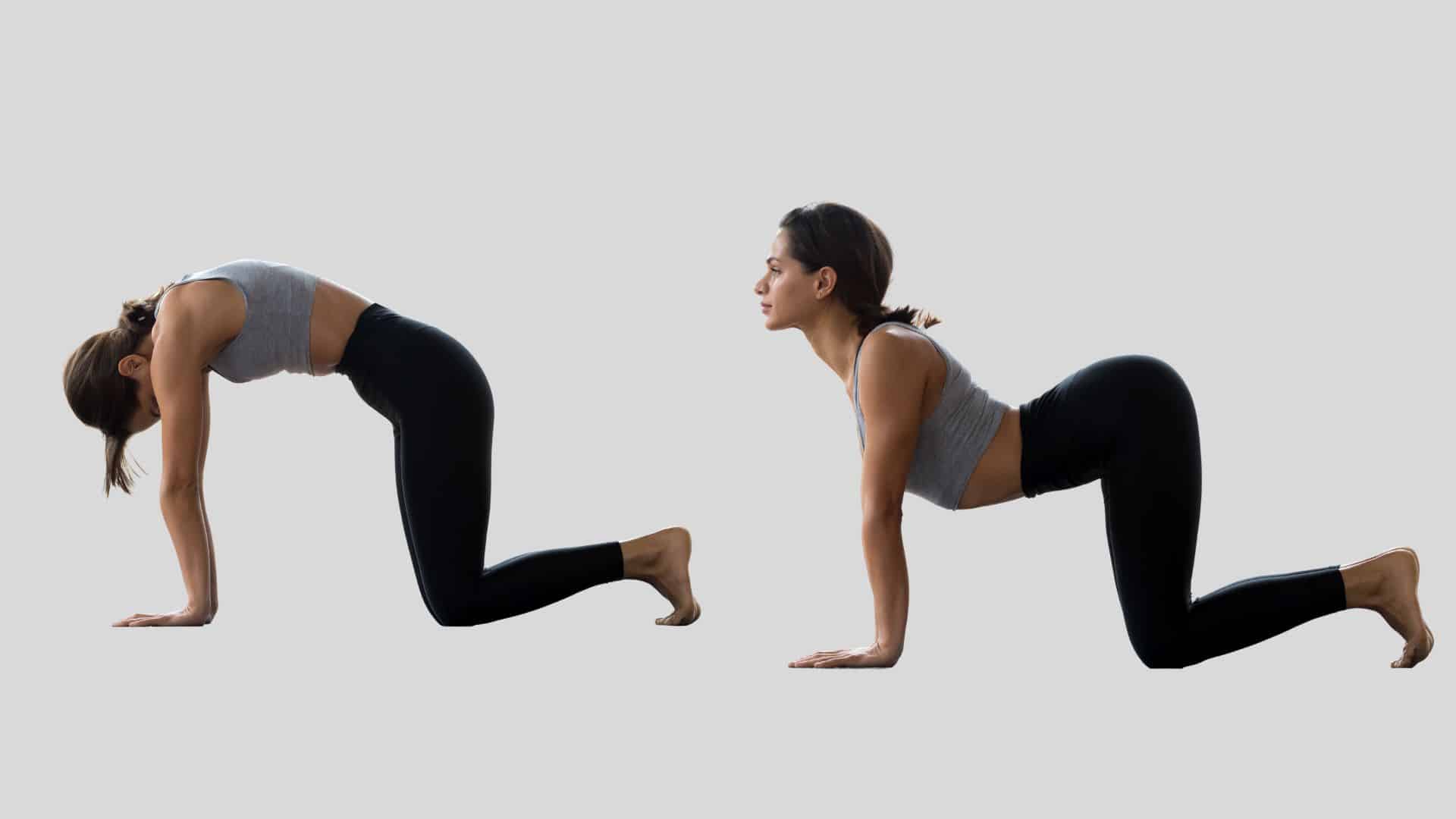 Marjaryasana Bitilasana