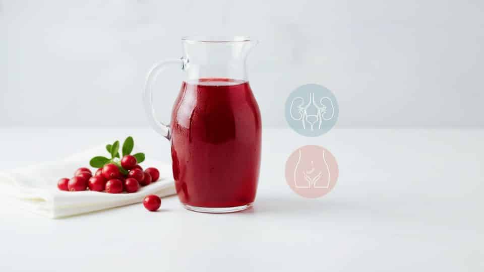 Cranberry Juice and Urinary Tract Wellness