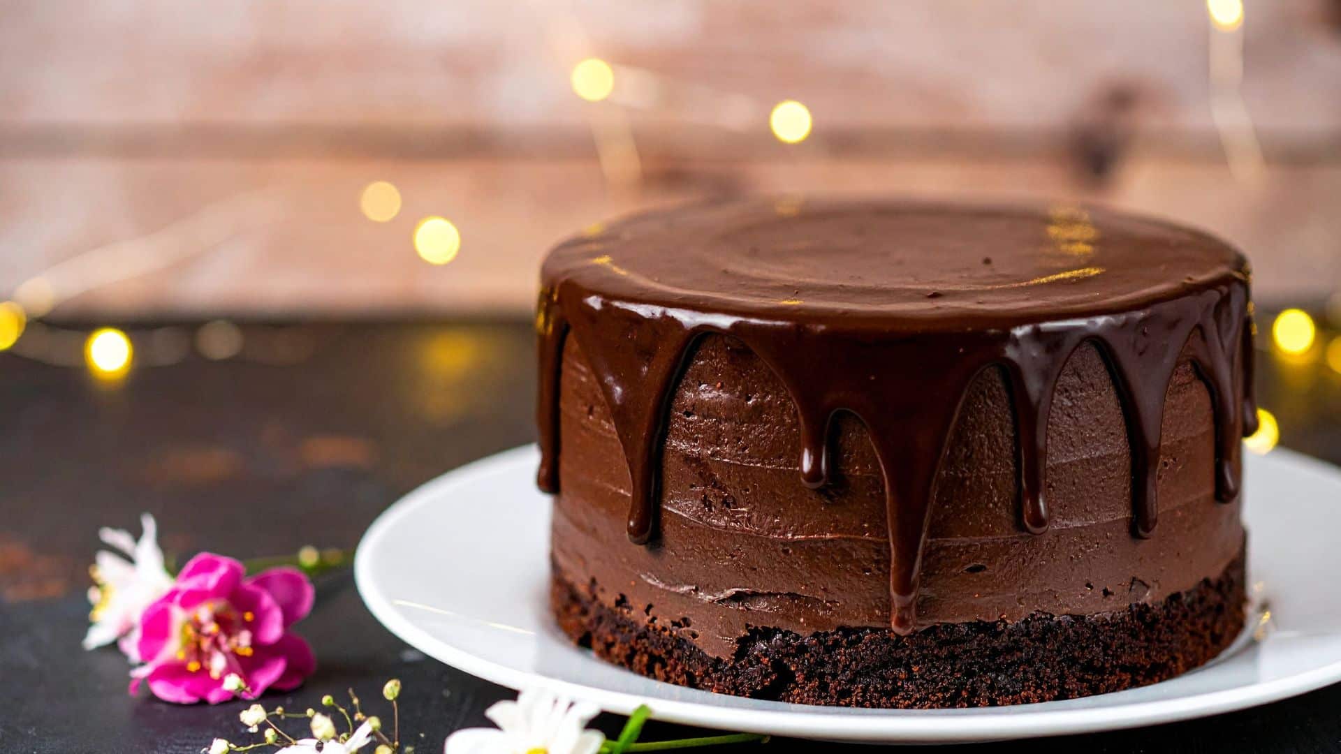 paleo coconut flour chocolate cake